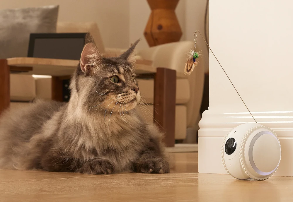 best pet video camera