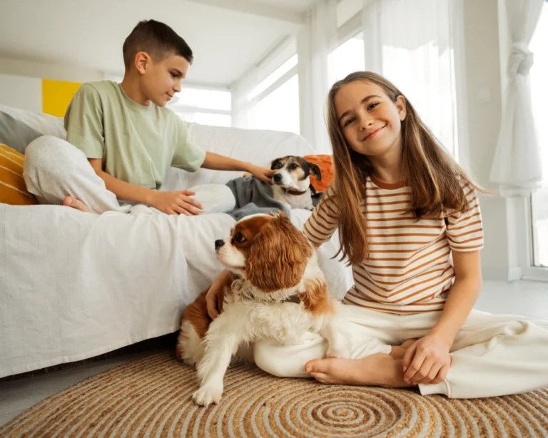 automatic small pet feeder