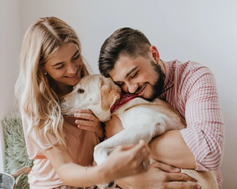 automatic dog feeding station