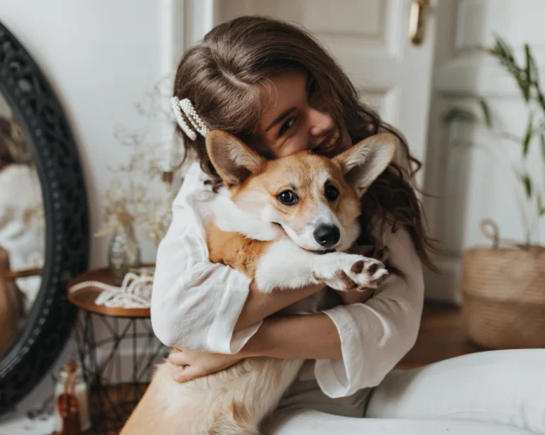 pets automatic feeder